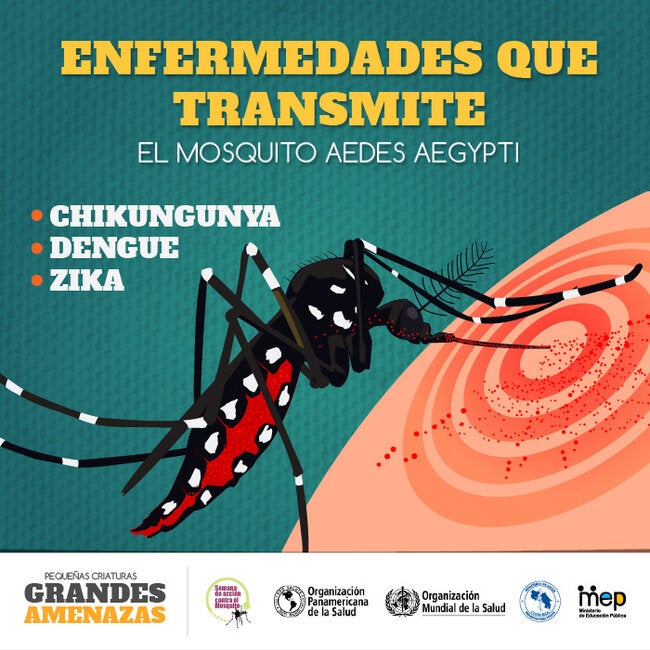 Costa Rica Postal para redes sociales Enfermedades que transmite el